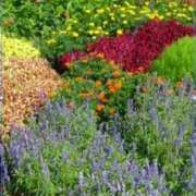 ヒメ日記 2025/09/10 10:31 投稿 かおり 水戸角海老