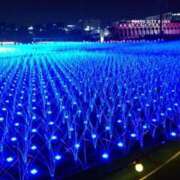 ヒメ日記 2025/12/15 09:51 投稿 林檎 水戸角海老