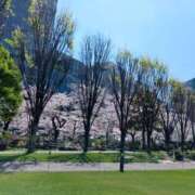 林檎 NoTitle 水戸角海老