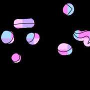 ヒメ日記 2025/12/23 11:31 投稿 みゆき 水戸角海老