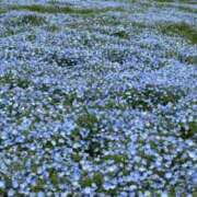 ヒメ日記 2025/05/12 23:14 投稿 みさき クンニ専門店 おクンニ学園 池袋校