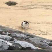 ヒメ日記 2025/07/02 14:29 投稿 あやみ ピンクコレクション大阪キタ店