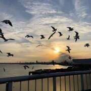 あやみ 納めませんか？🧧 ピンクコレクション大阪キタ店