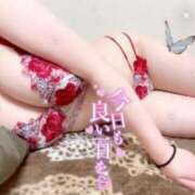 ヒメ日記 2025/03/31 21:41 投稿 ドール ピンクコレクション大阪キタ店