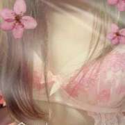 ヒメ日記 2025/04/11 16:55 投稿 もえこ 熟女家 東大阪店（布施・長田）