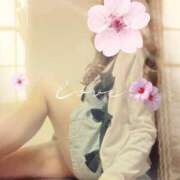 ヒメ日記 2025/06/11 10:55 投稿 もえこ 熟女家 東大阪店（布施・長田）