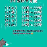 ヒメ日記 2024/03/09 11:43 投稿 このは ちゃんこ本厚木店