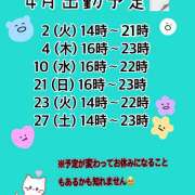 ヒメ日記 2024/03/31 12:21 投稿 このは ちゃんこ本厚木店