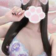 ヒメ日記 2024/12/15 13:01 投稿 めるも 新宿ハンドメイド