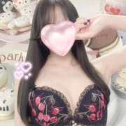 ヒメ日記 2024/12/24 14:02 投稿 めるも 新宿ハンドメイド