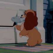 ヒメ日記 2025/03/10 10:31 投稿 めるも 新宿ハンドメイド