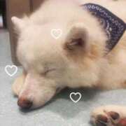 ヒメ日記 2025/07/14 21:00 投稿 めるも 新宿ハンドメイド