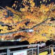 ヒメ日記 2025/11/21 00:36 投稿 ゆみ スケベ痴女くらぶDOGU