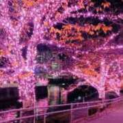 ヒメ日記 2025/11/29 11:00 投稿 ゆみ スケベ痴女くらぶDOGU