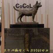 ヒメ日記 2025/12/22 09:55 投稿 ゆみ スケベ痴女くらぶDOGU