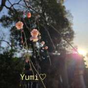 ヒメ日記 2026/01/20 23:04 投稿 ゆみ スケベ痴女くらぶDOGU