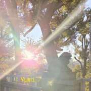 ヒメ日記 2026/01/24 08:01 投稿 ゆみ スケベ痴女くらぶDOGU