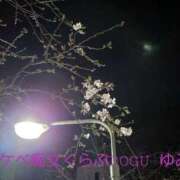 ヒメ日記 2026/03/21 02:12 投稿 ゆみ スケベ痴女くらぶDOGU