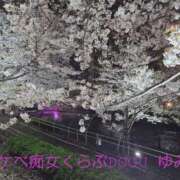 ヒメ日記 2026/04/05 01:07 投稿 ゆみ スケベ痴女くらぶDOGU