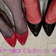 ヒメ日記 2026/05/08 00:57 投稿 ゆみ スケベ痴女くらぶDOGU