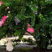 ヒメ日記 2025/03/17 15:01 投稿 さや 世界のあんぷり亭 錦糸町店