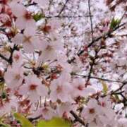 ヒメ日記 2025/03/25 15:00 投稿 さや 世界のあんぷり亭 錦糸町店