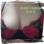 ヒメ日記 2025/07/30 21:33 投稿 きみか 人妻マル秘伝説