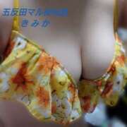 ヒメ日記 2025/10/30 22:12 投稿 きみか 人妻マル秘伝説