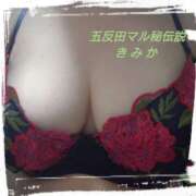 ヒメ日記 2025/11/23 21:04 投稿 きみか 人妻マル秘伝説