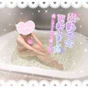 ヒメ日記 2025/06/29 21:37 投稿 まな Hip's千葉駅前店