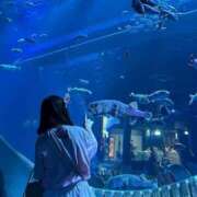 ヒメ日記 2025/04/24 18:50 投稿 みこ エデン