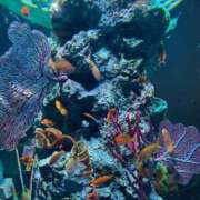 ヒメ日記 2025/06/28 13:14 投稿 みこ エデン