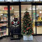 ヒメ日記 2025/12/03 02:31 投稿 みこ エデン