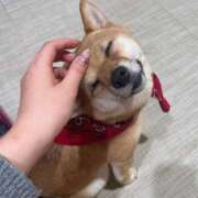 ヒメ日記 2026/01/28 20:51 投稿 みこ エデン