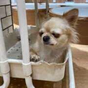 ヒメ日記 2026/02/04 16:11 投稿 みこ エデン