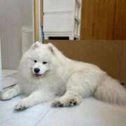 ヒメ日記 2026/02/11 22:01 投稿 みこ エデン