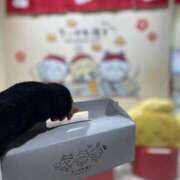 ヒメ日記 2026/03/06 17:21 投稿 みこ エデン