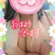 ヒメ日記 2025/03/31 08:56 投稿 江藤(えとう) 人妻最後の砦 水戸店