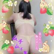 ヒメ日記 2025/04/16 18:00 投稿 江藤(えとう) 人妻最後の砦 水戸店