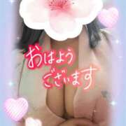 ヒメ日記 2025/04/18 09:08 投稿 江藤(えとう) 人妻最後の砦 水戸店