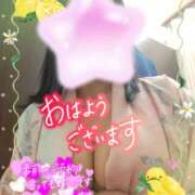 ヒメ日記 2025/06/21 09:01 投稿 江藤(えとう) 人妻最後の砦 水戸店