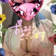 ヒメ日記 2025/07/28 09:08 投稿 江藤(えとう) 人妻最後の砦 水戸店