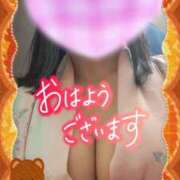 ヒメ日記 2025/11/12 09:10 投稿 江藤(えとう) 人妻最後の砦 水戸店