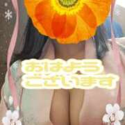 ヒメ日記 2026/02/11 09:20 投稿 江藤(えとう) 人妻最後の砦 水戸店