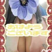 ヒメ日記 2026/02/19 09:20 投稿 江藤(えとう) 人妻最後の砦 水戸店