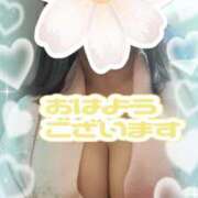 ヒメ日記 2026/03/11 09:20 投稿 江藤(えとう) 人妻最後の砦 水戸店