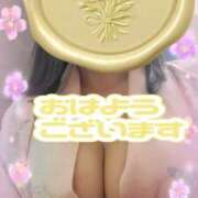 ヒメ日記 2026/06/24 09:20 投稿 江藤(えとう) 人妻最後の砦 水戸店