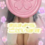 ヒメ日記 2026/06/29 09:20 投稿 江藤(えとう) 人妻最後の砦 水戸店