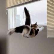 りあ うわーん。 全裸のいいなり美女OR満員ちかん電車