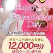 リノア バレンタイン💌 Celeb Garden(セレブガーデン)